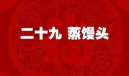 春节爆料视频新闻稿子,独家视频新闻稿揭示节日背后的故事